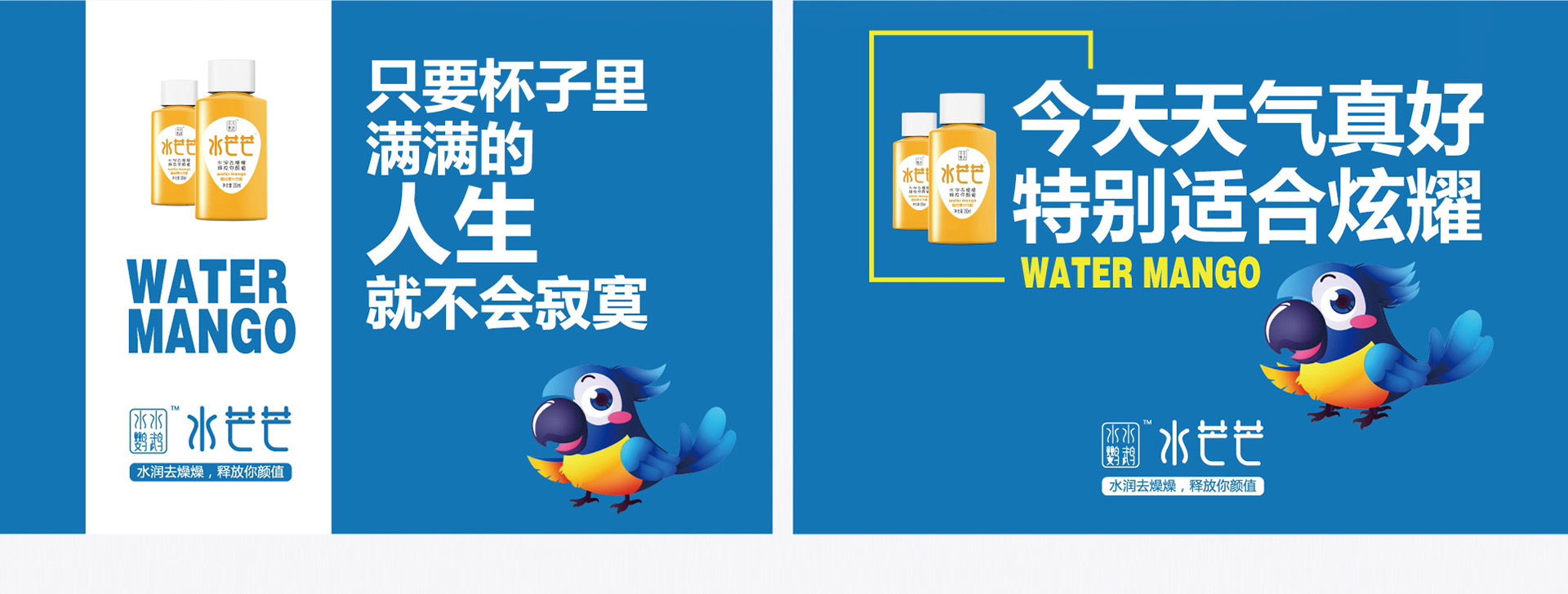 復(fù)合果汁飲料包裝策劃設(shè)計